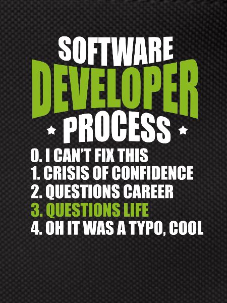 software developer