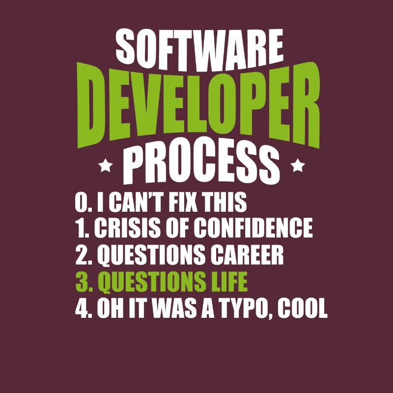 software developer