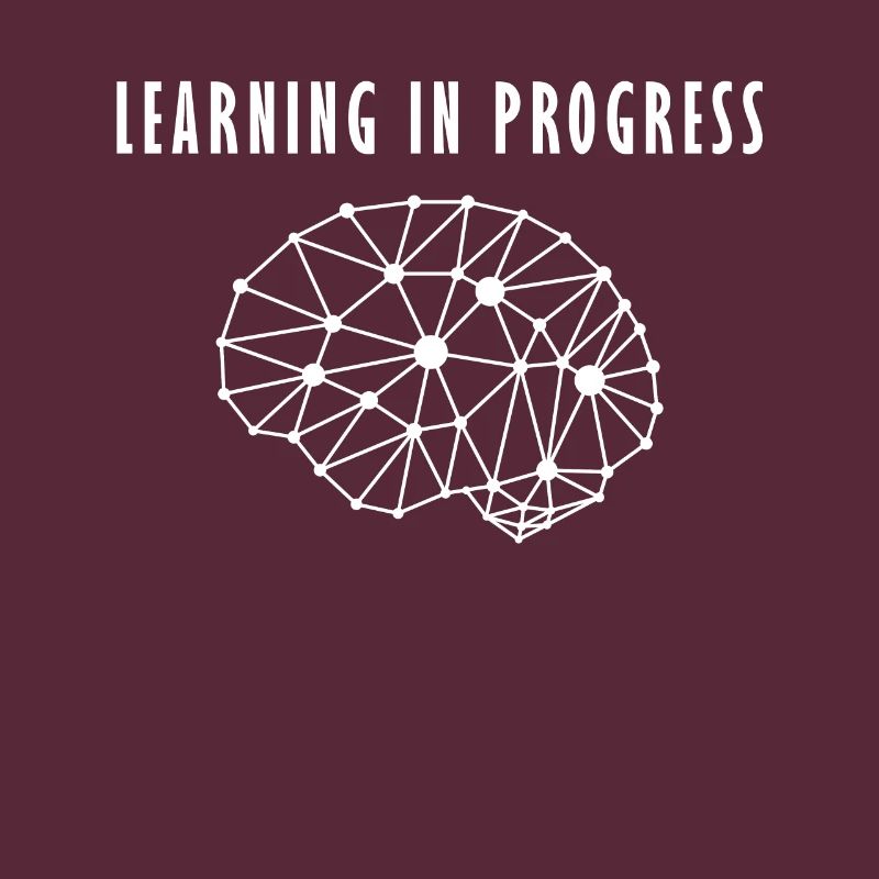 Human brain neuronal network learning process