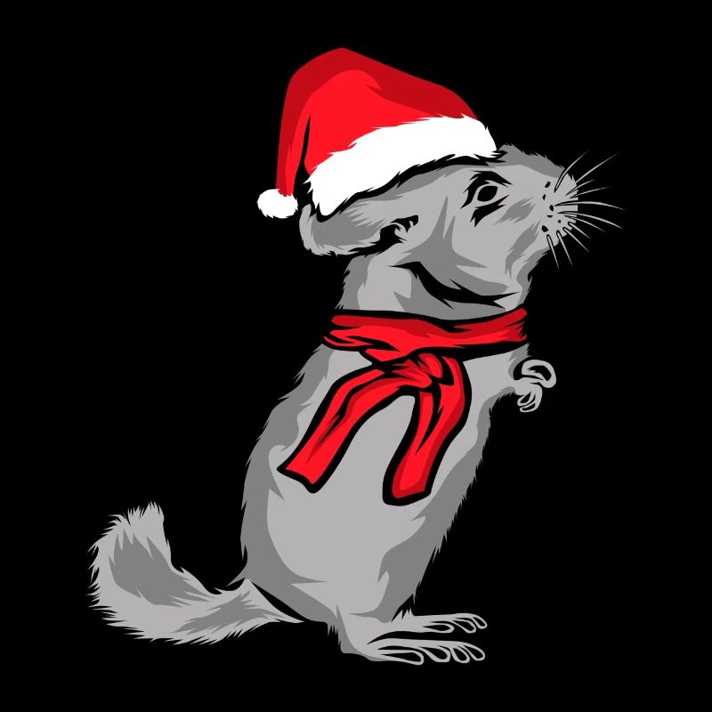 Chinchilla Noël