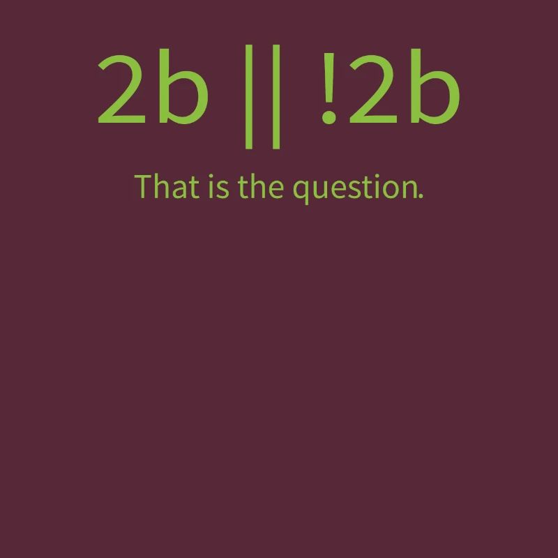 2b lustiger cooler Programmierer sein oder nicht sein