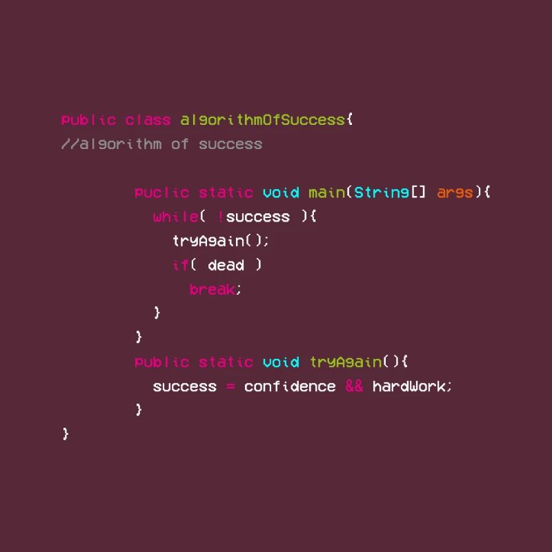 Algorithme De Succès - Codeur - Informaticien