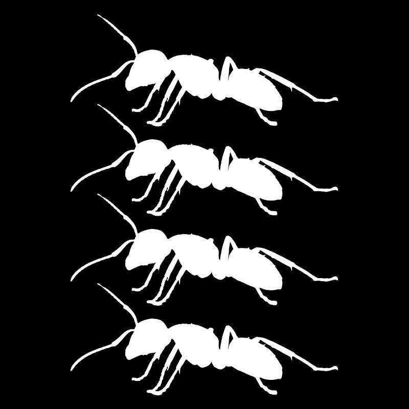 Ants