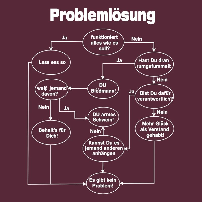 Programmierer Problemlösung