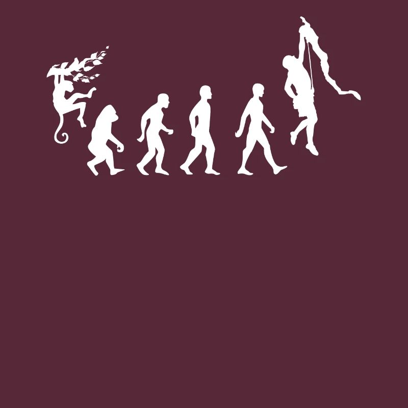 Evolution du grimpeur