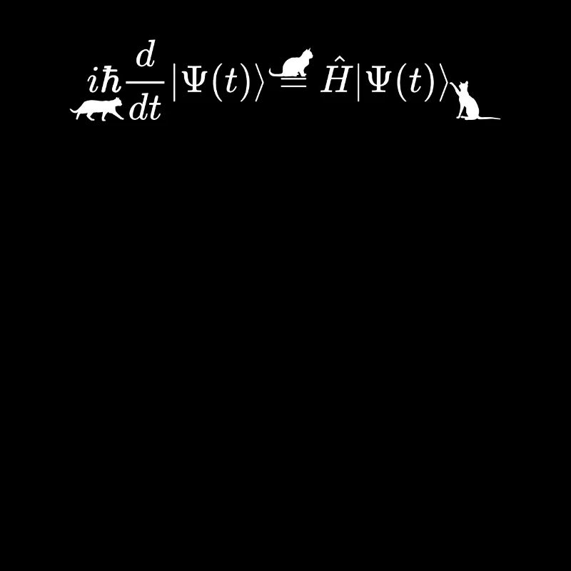 Schrödinger Katzen Mathematik und Physik Formel Gleichung