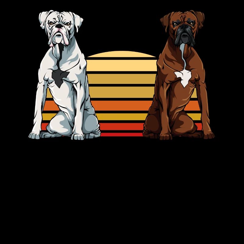 Boxer