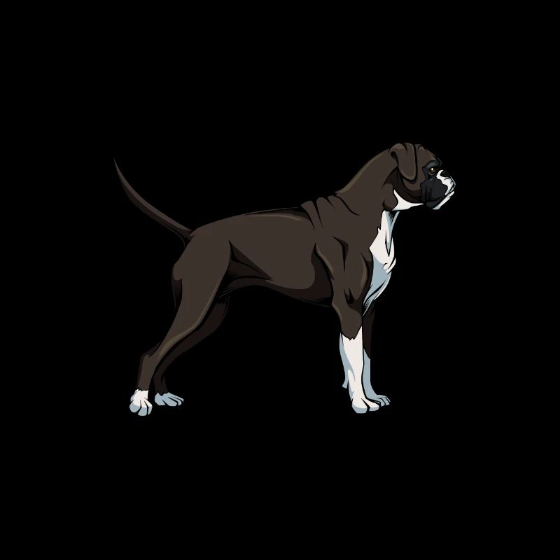 Boxer