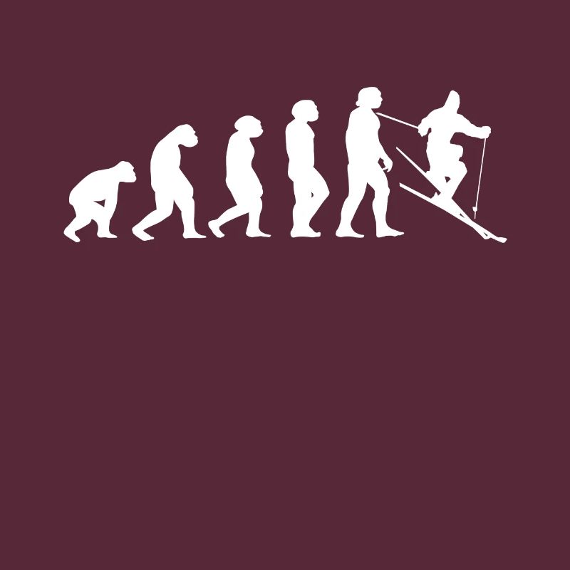 Ski Skiing Ski Evolution Skiers Goggles