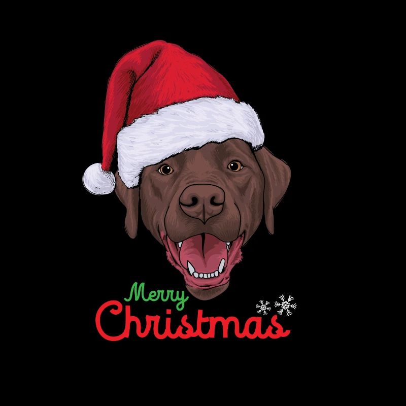 Labrador Noël