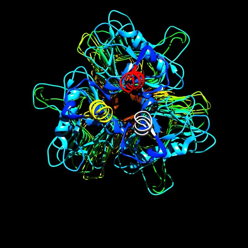 Native Tailspike Protein Molécule Bactériophage