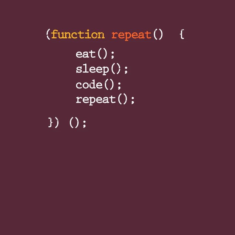 Programmeur Coder Programmer Informatique Geek