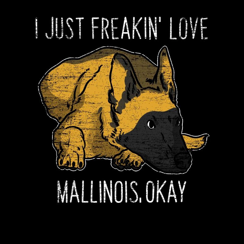 Malinois Hund Geschenk