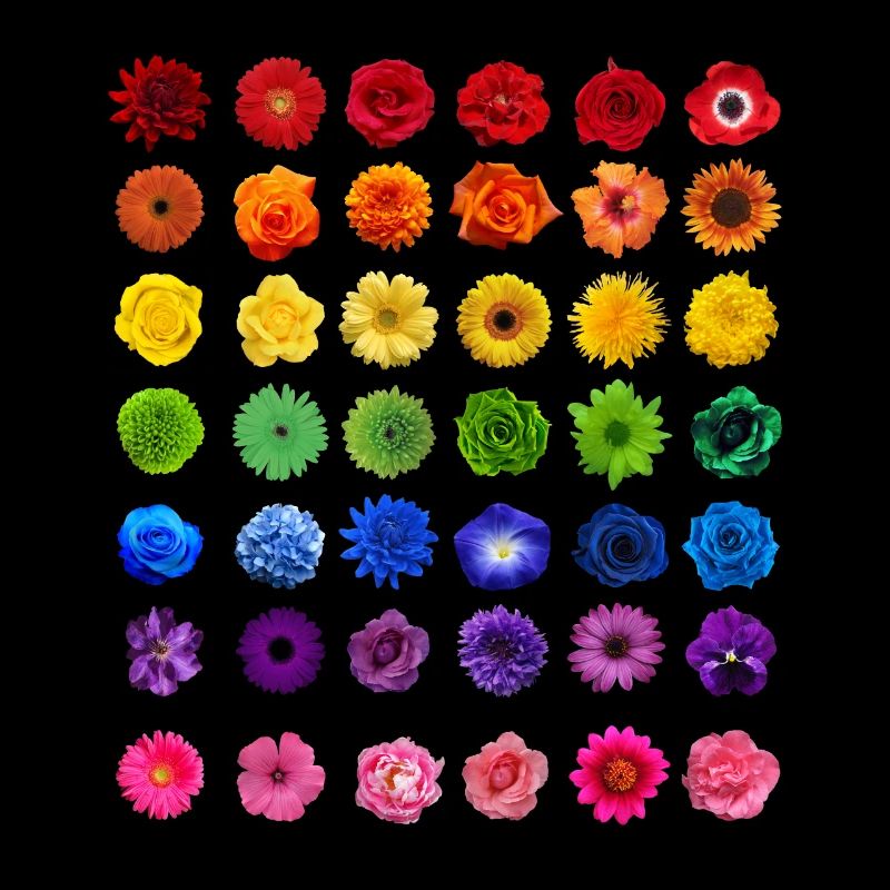 Fleurs fleurs fleurs fleurs de printemps cadeau