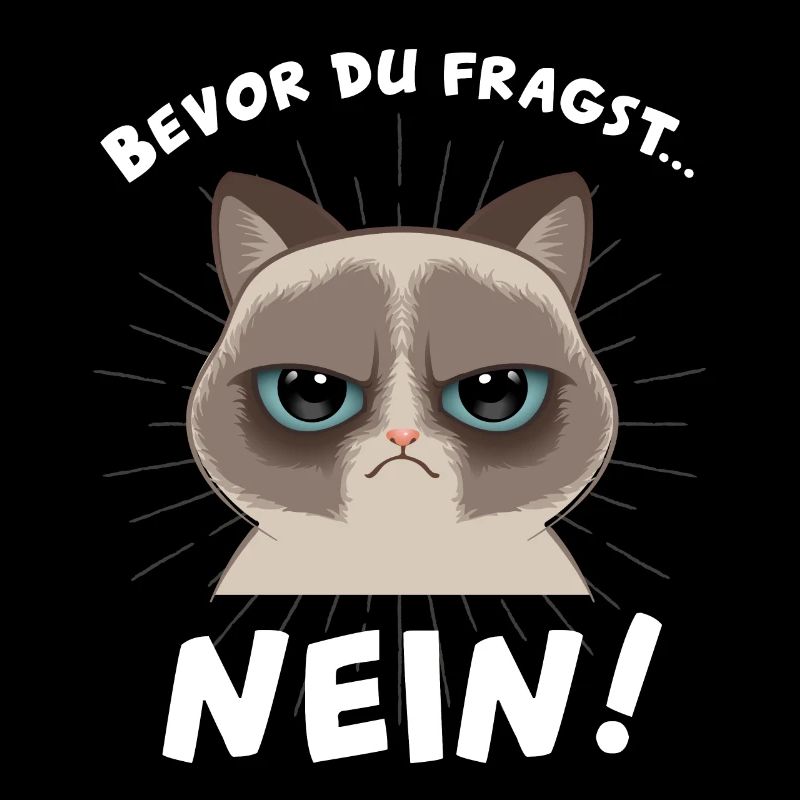 mürrische Katze
