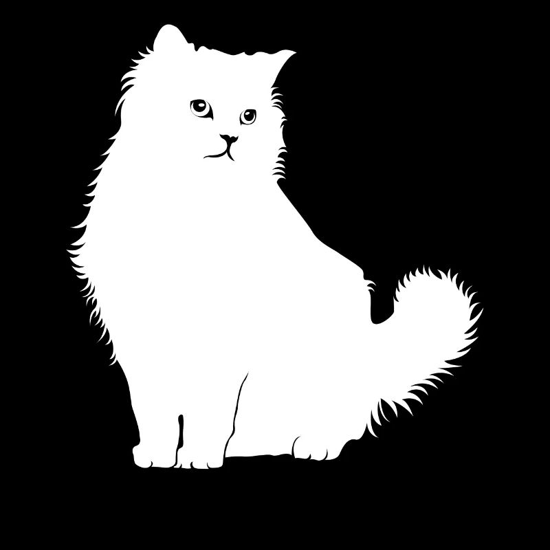 Ragdoll cat Ragdoll cat