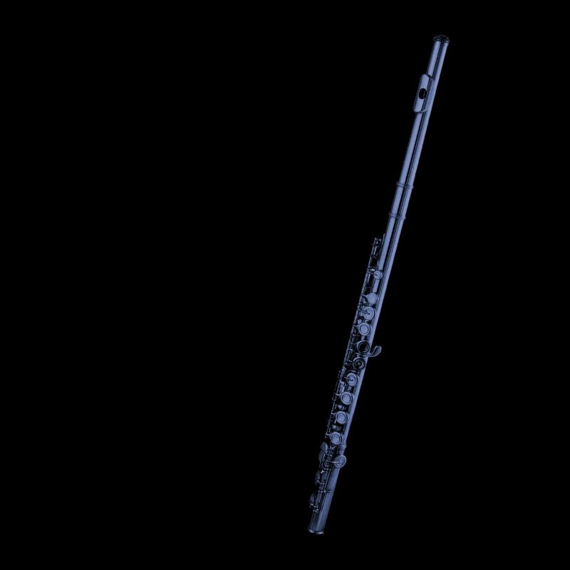 transverse flute instrument