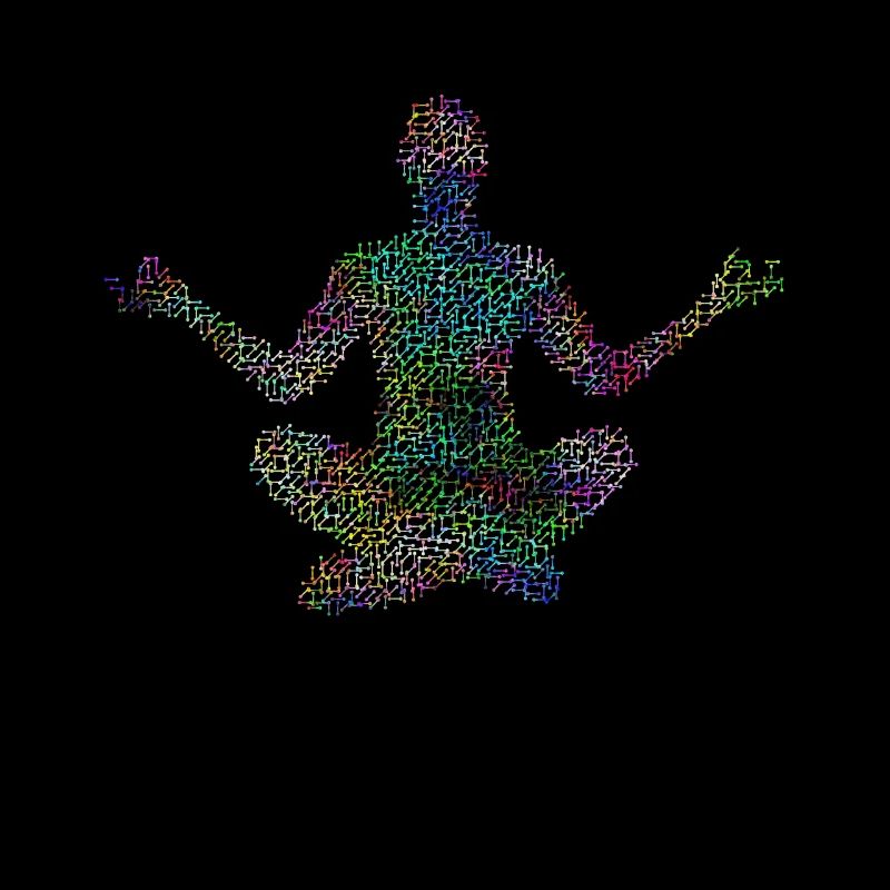 Psychedelic meditation