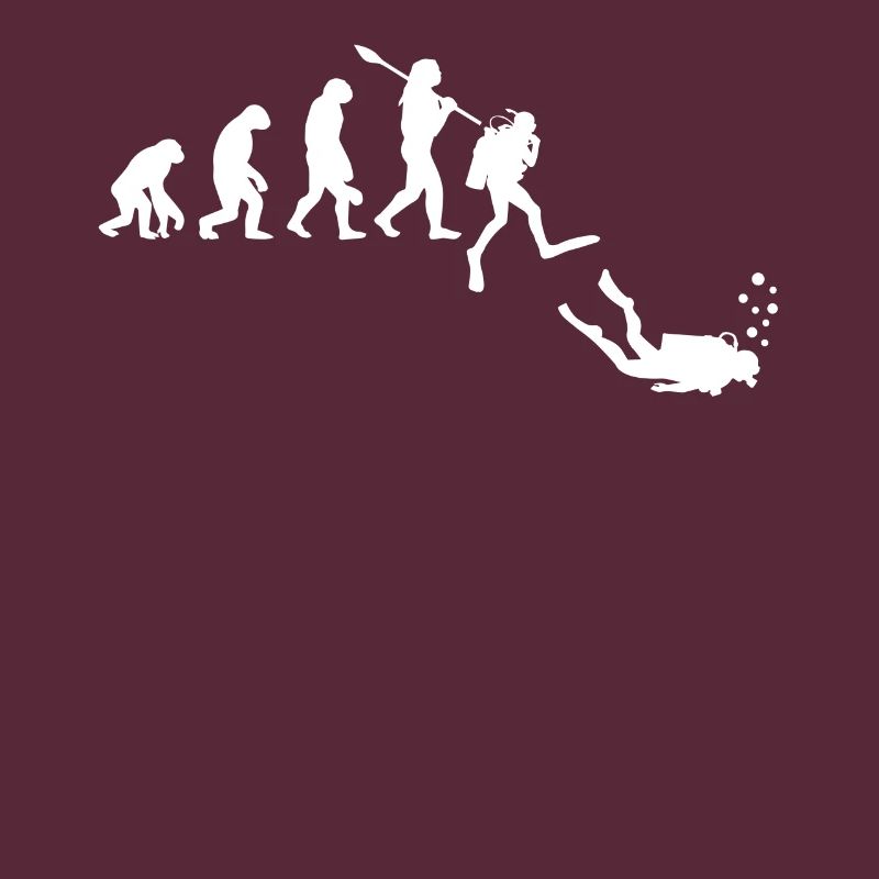 Taucher Evolution