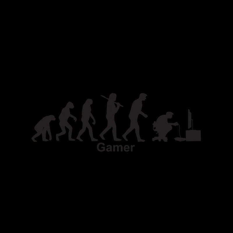 Evolution Gamer / Evolutionskette Zocker / Gamer