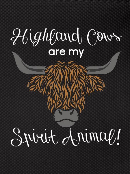 Scottish highland cow