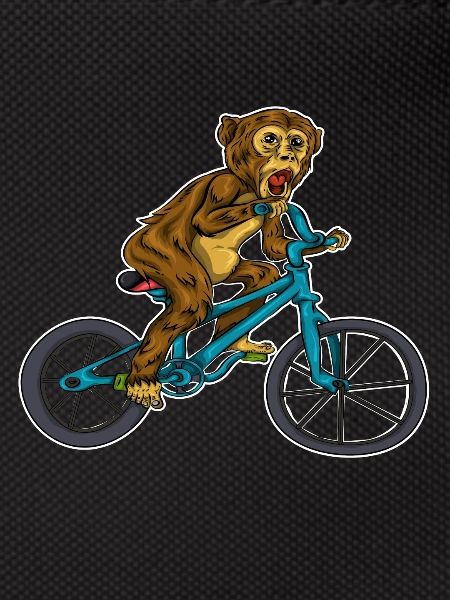 Bicycle monkey sport