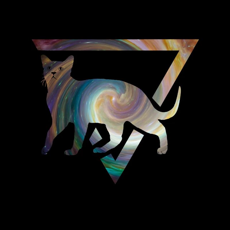 Birman dans un triangle de l'univers