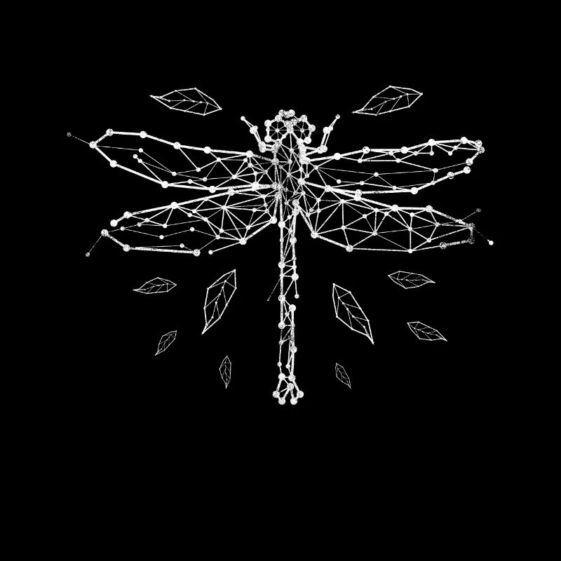 Dragonfly insect animals