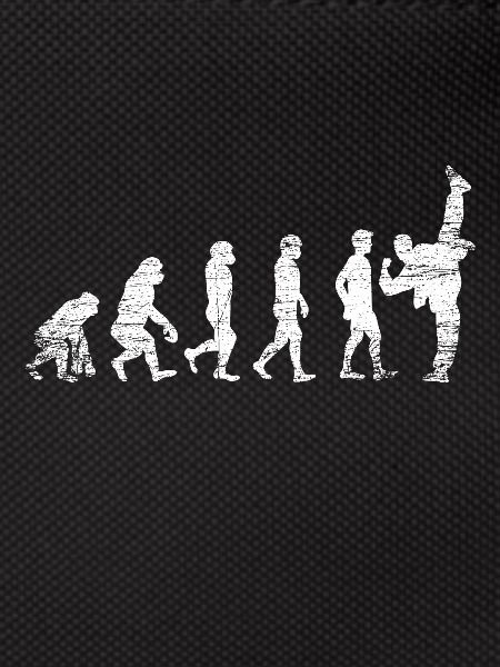 Karate Evolution Sport