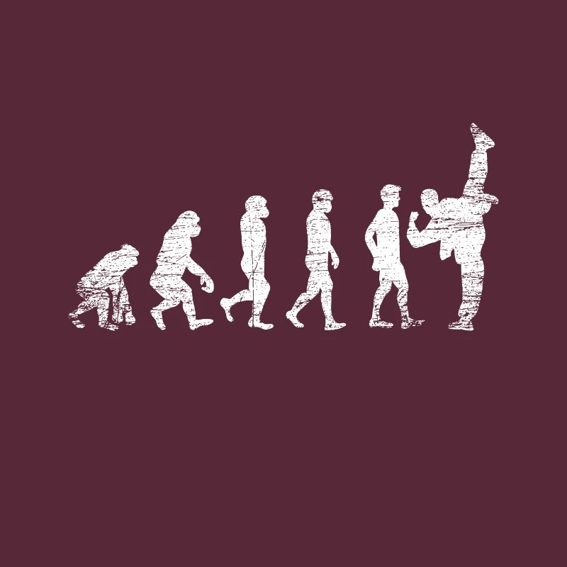 Karate Evolution Sport