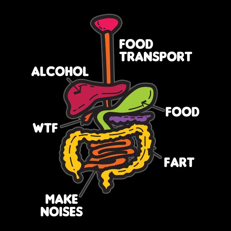 Digestion organs Funny cartoon comic humor