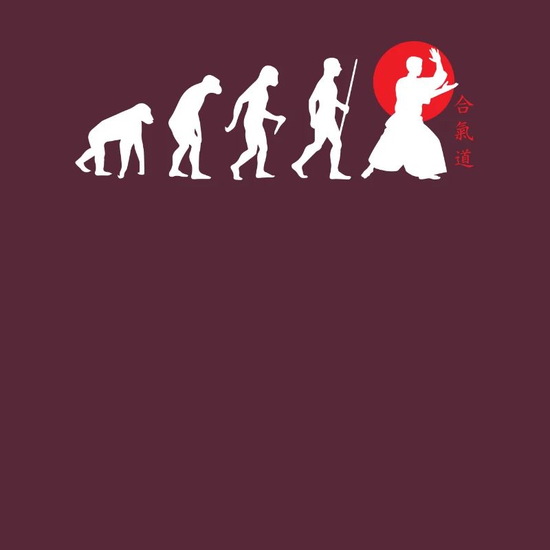 Die Aikido Evolution - Aikido Japanisches Martial
