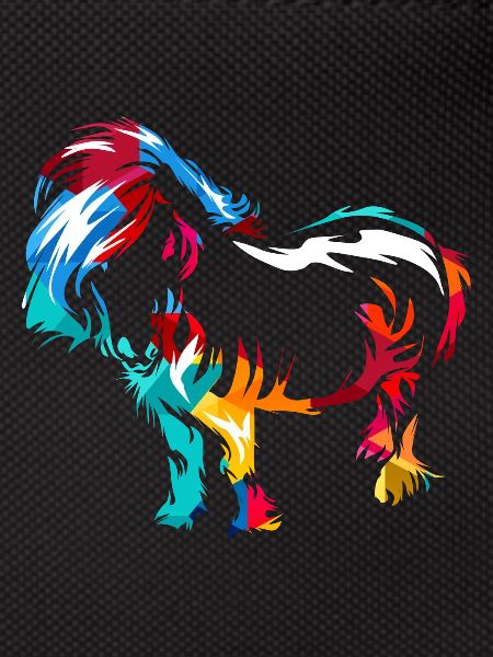 Shetland pony gift