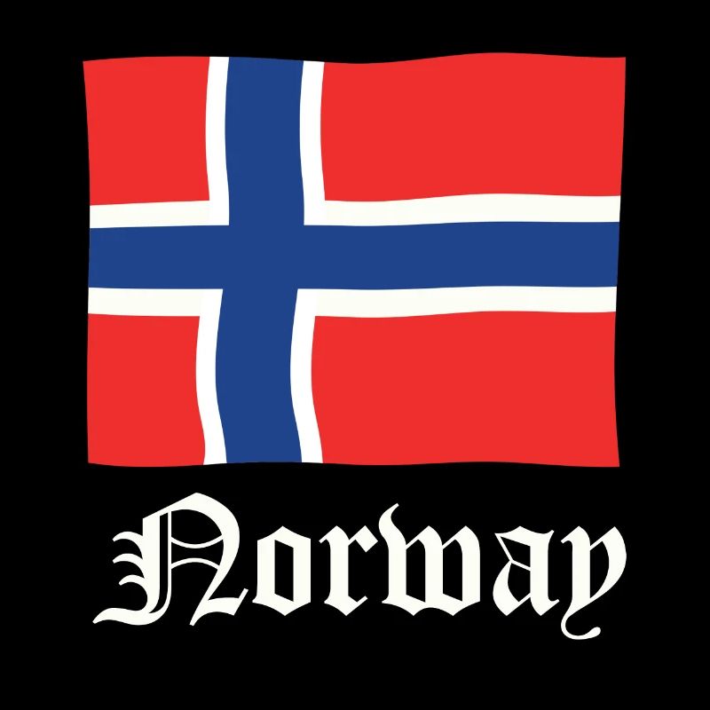 Norway viking flag