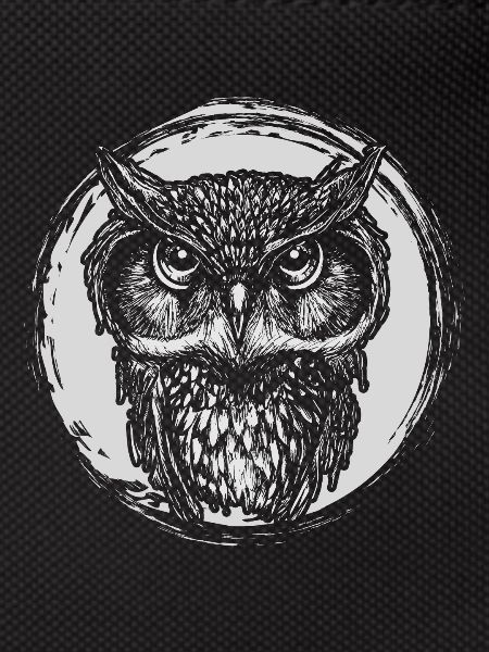owl