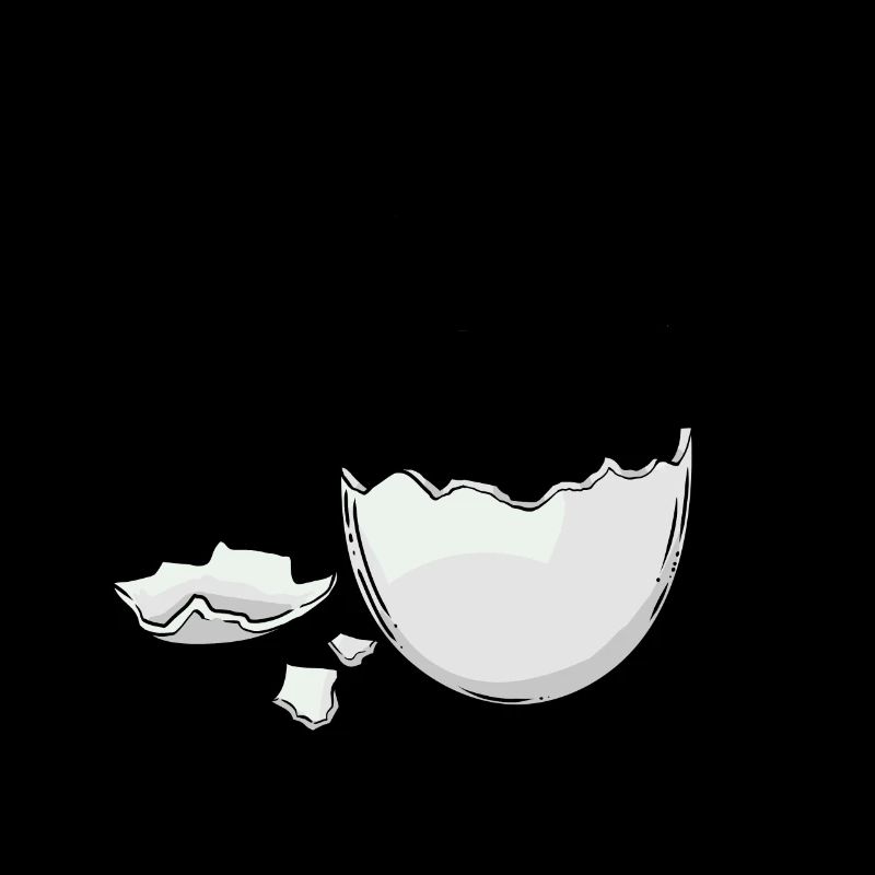 Eggshell Egg Eggs Hatch Baby Birth Pregnant