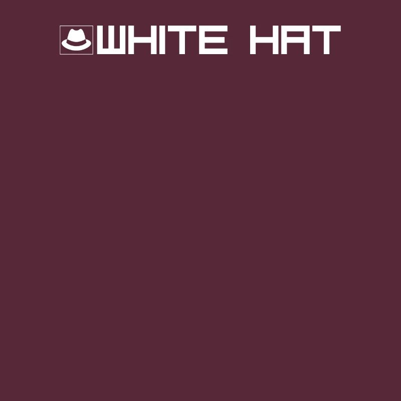 White hat hacker type