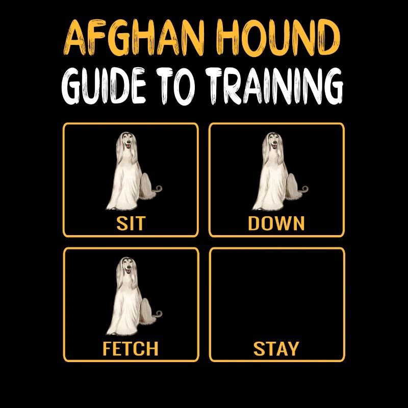 Afghan Hound Guide to Training Dog Obedience