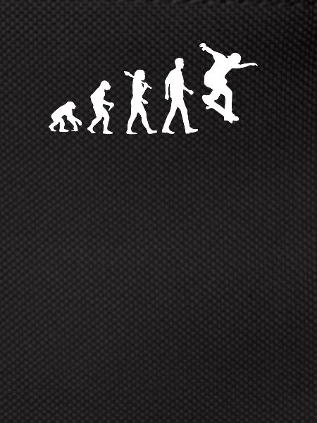 Skater Evolution