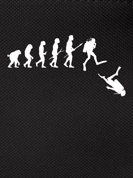 Diver evolution