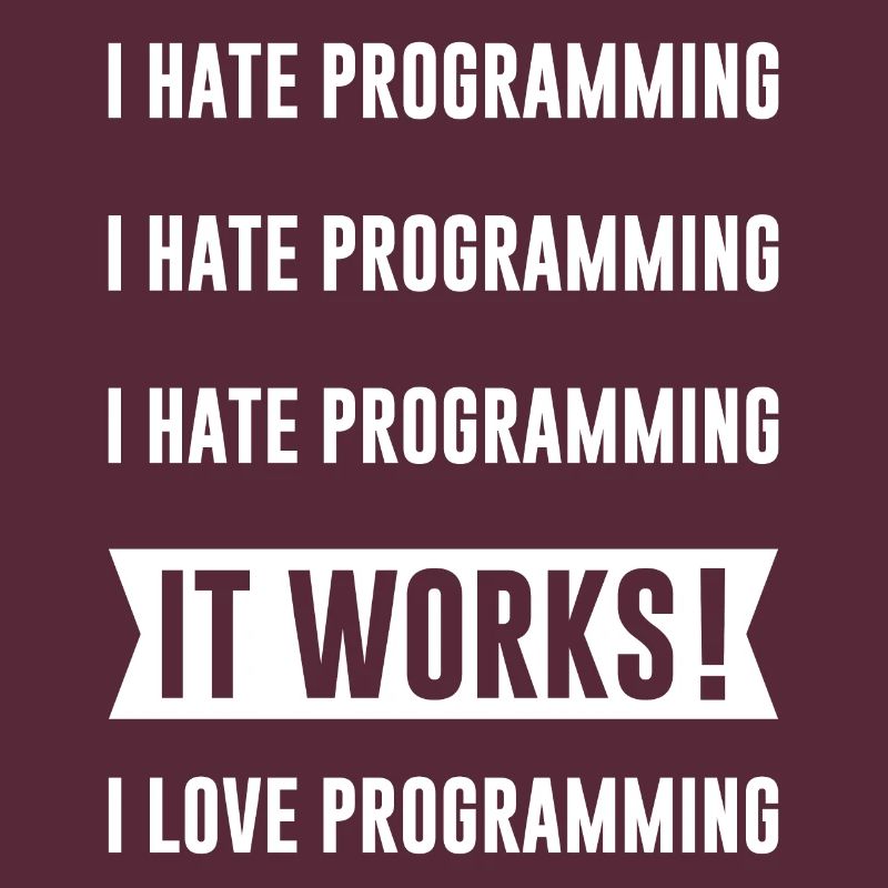 Programmierer - I HATE PROGRAMMING