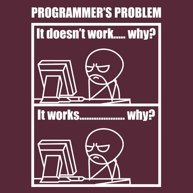 Programmer Computer Scientist Meme Funny Cartoon I