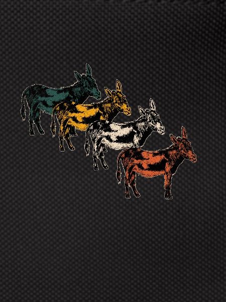 Donkey animals