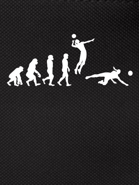 Volleyball Player Evolution