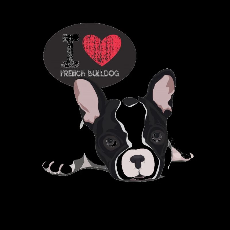 j'aime le bouledogue français