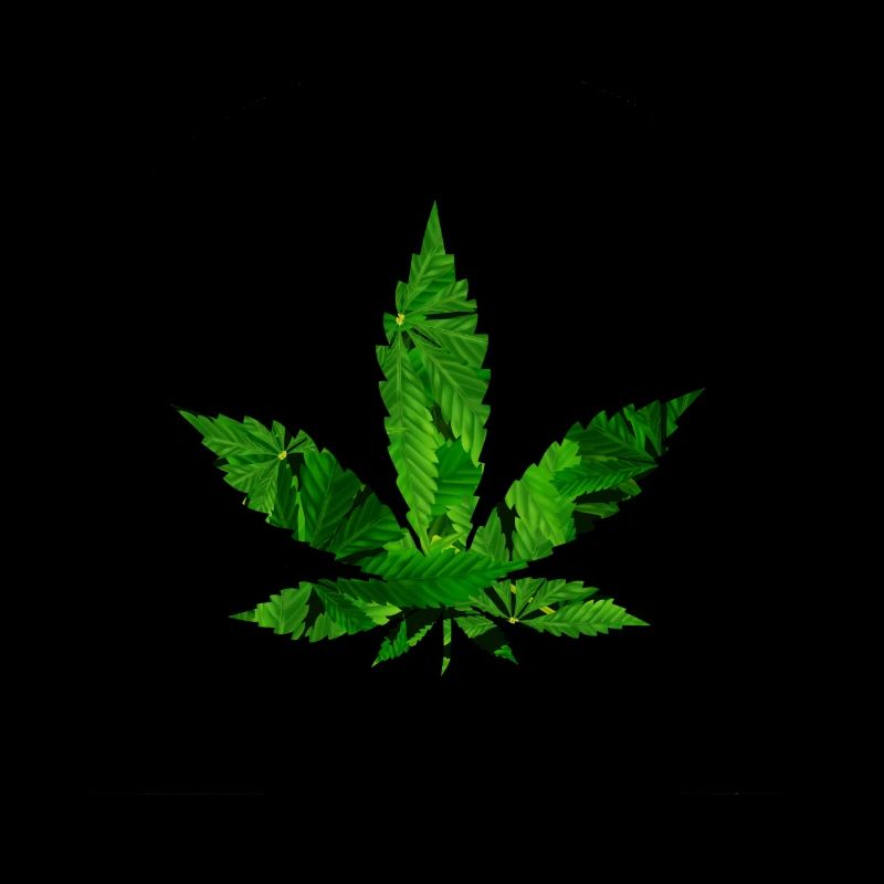 Cannabis weed leaf