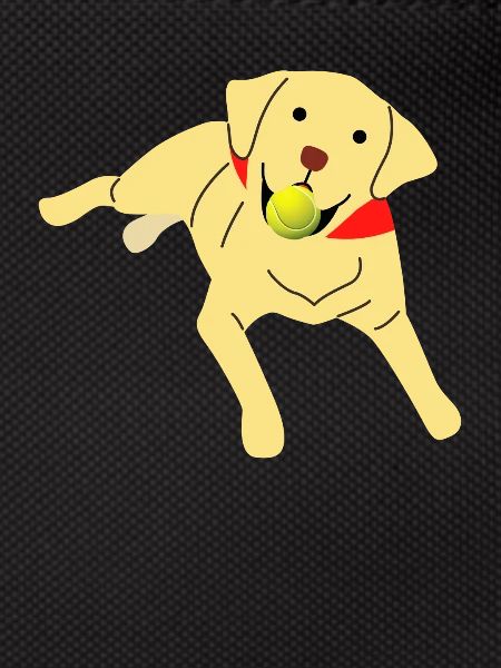Labrador