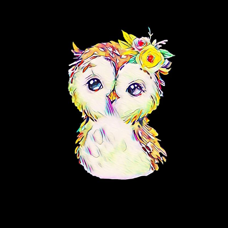 hibou