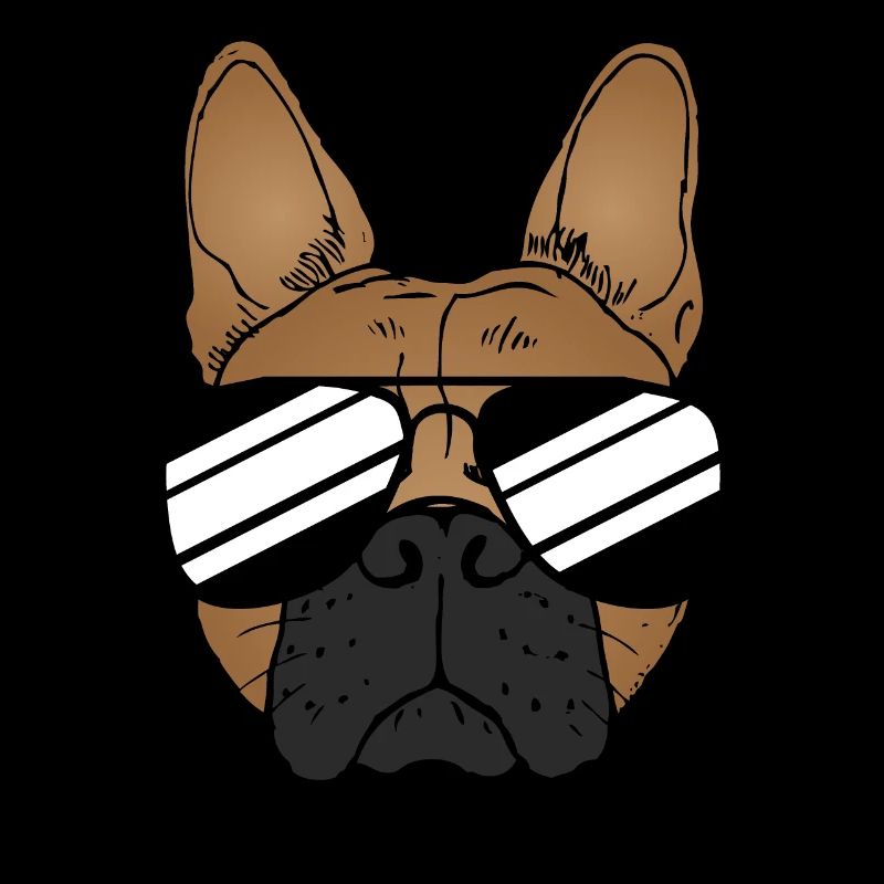 Bouledogue français avec des lunettes de soleil drôle