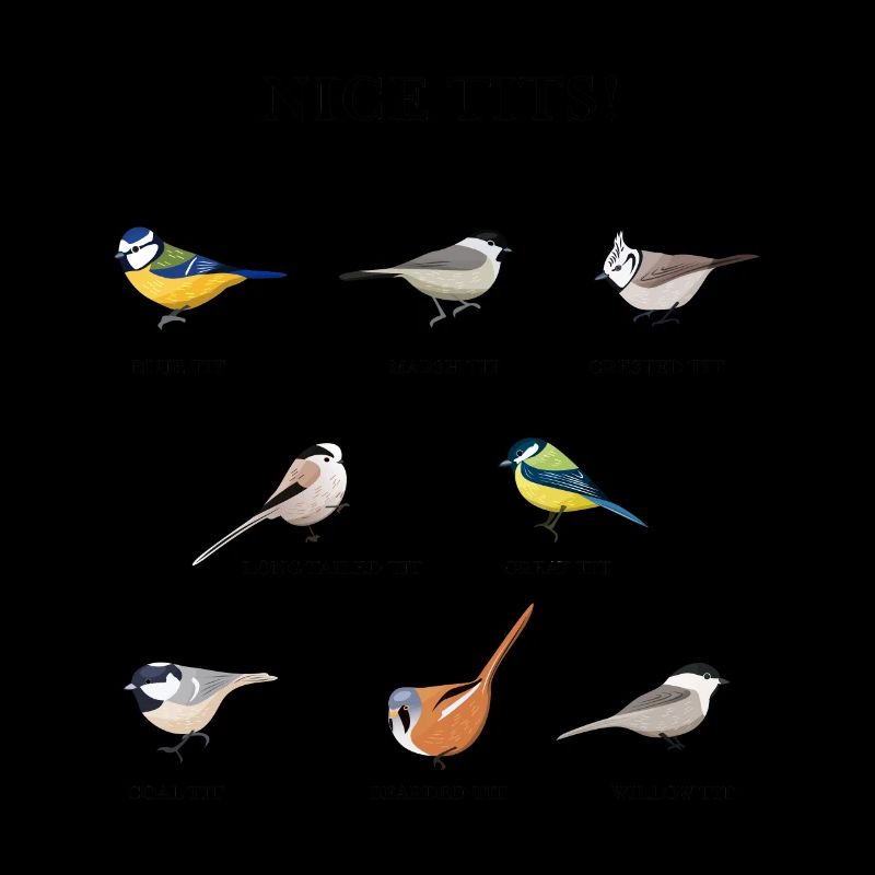 Nice tits! Funny Birdwatching Bird Gift